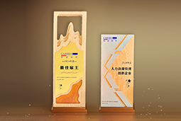 JN江南JN SPORTS国际一举斩获“2024年度中国区最佳雇主”等多项大奖