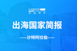 JN江南JN SPORTSGO GLOBAL | 沙特阿拉伯国家简报